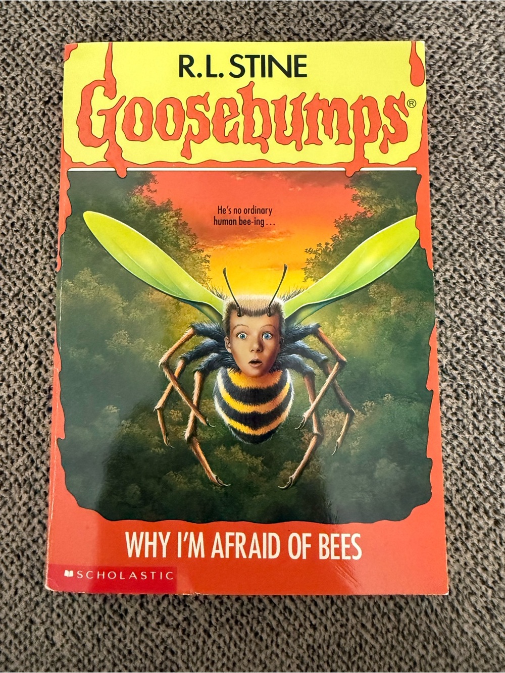 Vintage Goosebumps: Why I'm Afraid of Bees by R.L. Stine